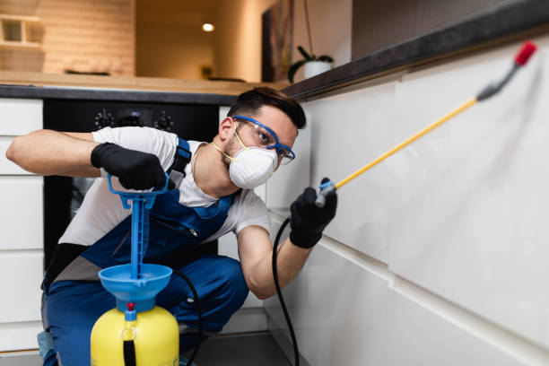 Best Pest Control Near Me  in Leo Cedarville, IN
