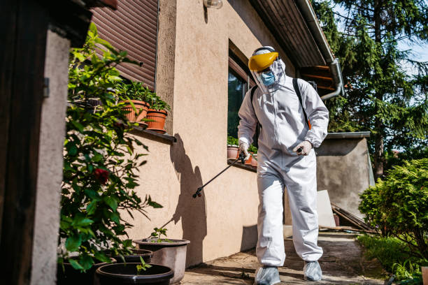 Best Local Pest Control Services  in Leo Cedarville, IN