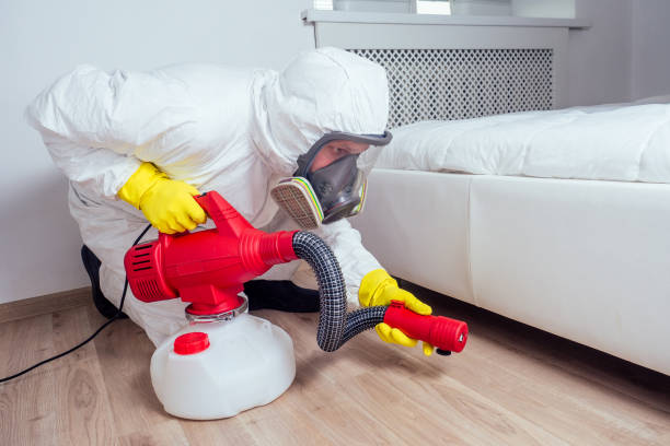 Best Flea Control Services  in Leo Cedarville, IN