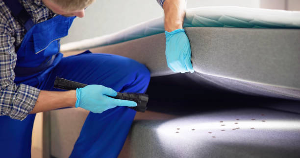 Best Wasp Removal Services  in Leo Cedarville, IN