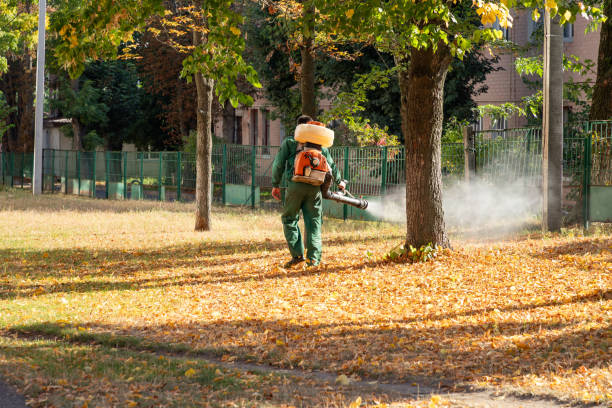 Best Pest Removal Services  in Leo Cedarville, IN