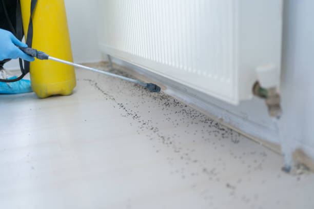 Best Exterminator Services  in Leo Cedarville, IN