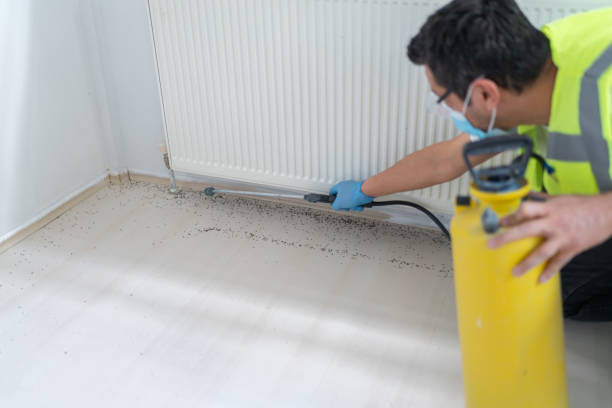 Best Affordable Pest Control Services  in Leo Cedarville, IN